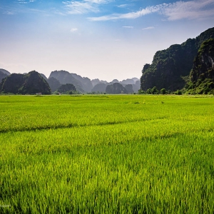 Việt-Nam_Hanoi_Tam_Coc19