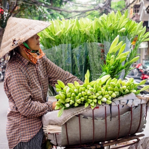 Việt-Nam_Hanoi_Tam_Coc3