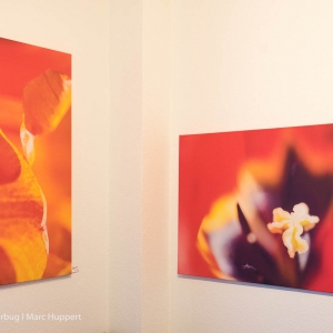 Ausstellung_Property meets Photography15.jpg