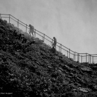 Niagara-16
