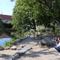 theshutterbug-5