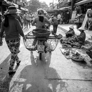 Việt-Nam_Hội-An_Mỹ-Sơn19